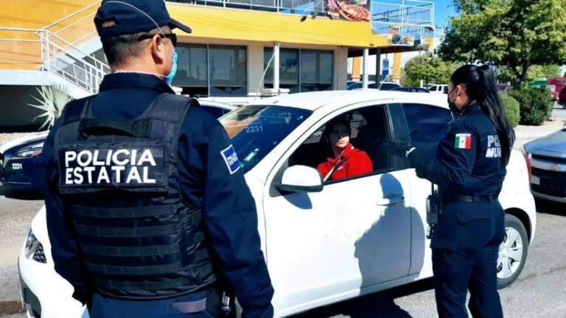 Policías Estatales